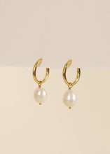 Load image into Gallery viewer, Pearl Drop - Gold Earrings